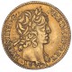 Louis XIII - Demi Louis d'or - 1640 A