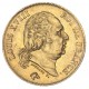 40 francs Louis XVIII 1816 Q
