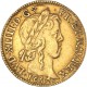 Louis XIV - Louis d'or à la mèche longue - 1652 C Saint Lô
