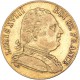 20 francs Louis XVIII 1815 R