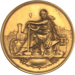 Médaille d'or de la ville de Tulle (poinçon corne OR)