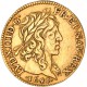 Louis XIII - Demi Louis d'or - 1641 A