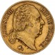 20 francs Louis XVIII - 1819 W Lille