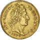 Louis XIV - Louis d'or aux 8 L et aux insignes 1702 K Bordeaux