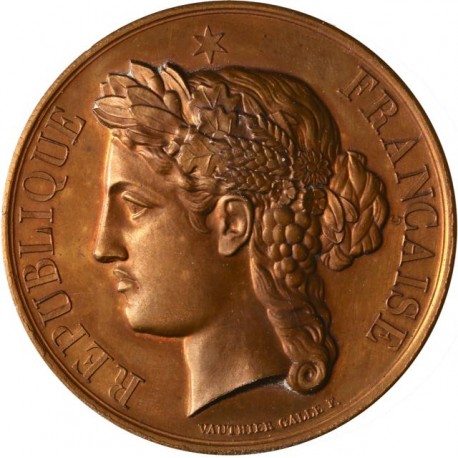 Médaille du mérite - Lycée Janson de Sailly