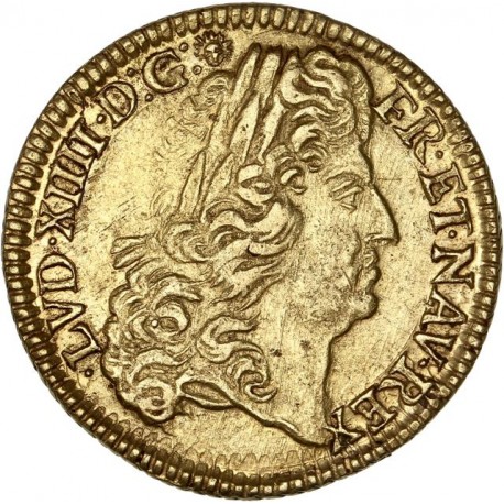 Louis XIV - Louis d'or à l'écu -1691 K