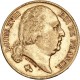 20 francs Louis XVIII - 1820 A