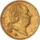 20 francs Louis XVIII - 1817 W Lille