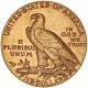 Etats Unis d'Amérique 5 dollars tête d'indien 1908