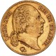 20 francs Louis XVIII 1819 A