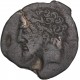 Numidie - Bronze de Massinissa