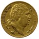 20 francs Louis XVIII - 1820 Q - Perpignan