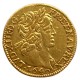 Louis XIII - Demi Louis d'or mèche courte  - 1640 A Paris