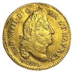 Louis XIV - Louis d'or aux quatre L 1695 D - Lyon